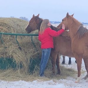 Meet your Posher, Phyllis